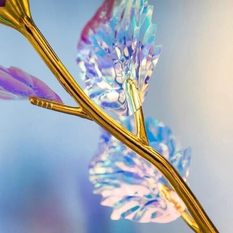 La Rose de la Galaxie Multicolore - un Signe Éternel D' Amour