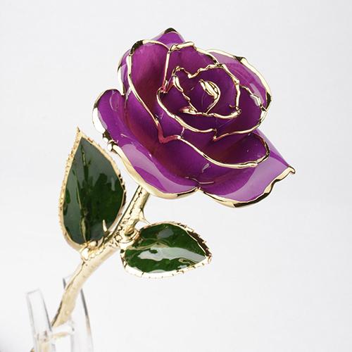 Rose D' or Éternelle