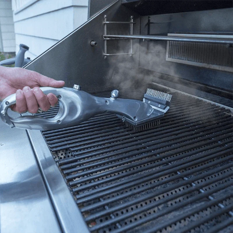 Nettoyeur Vapeur Brosse à Grillades Deluxe