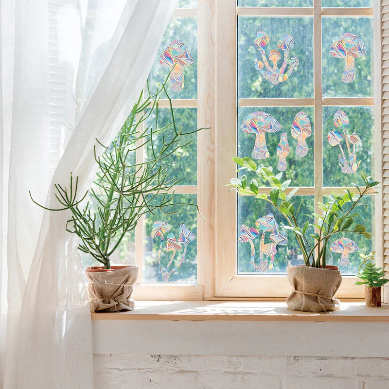 Films Décoratifs Colorés pour Fenêtres