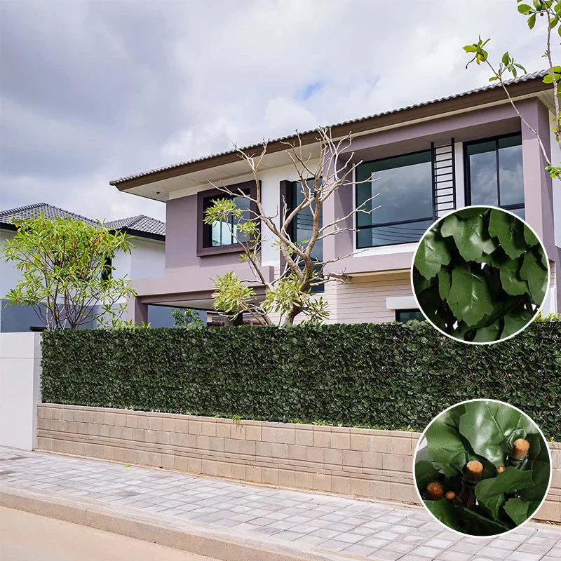 Clôture Pare-vue Flexible avec Optique de Plantes Grimpantes