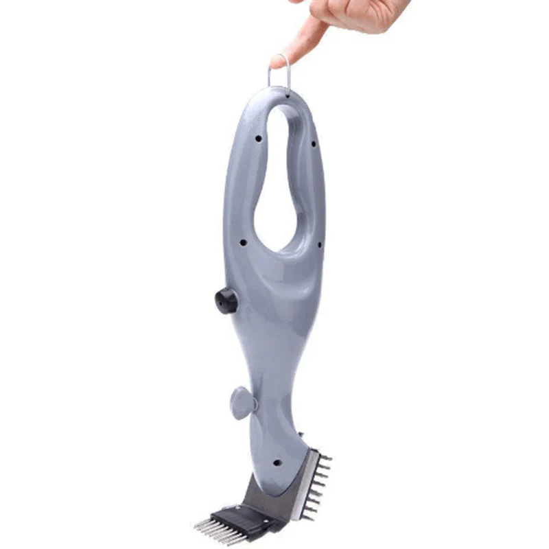 Nettoyeur Vapeur Brosse à Grillades Deluxe