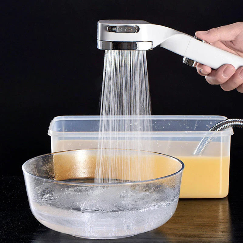 Pommeau de Douche Haute Pression avec 4 Modes et Nettoyage Power