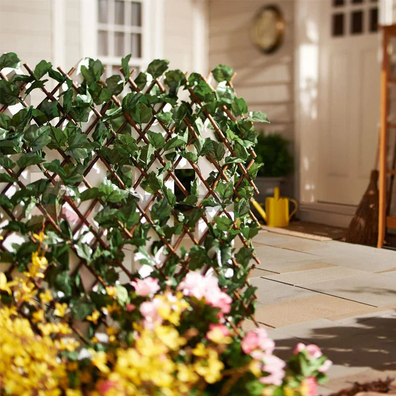 Clôture Pare-vue Flexible avec Optique de Plantes Grimpantes