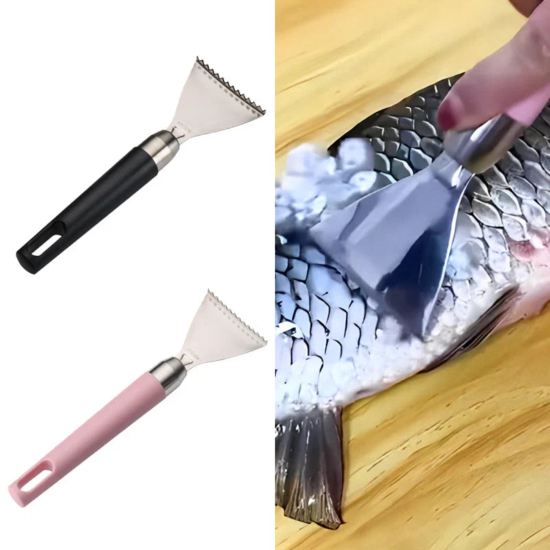 Eliminateur D' Écailles de Poisson en Acier Inoxydable - Élimination Rapide et sans Effort des Écailles