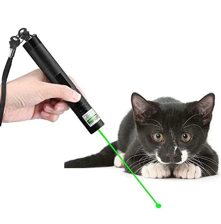 Pointeur Laser de Précision pour les Professionnels