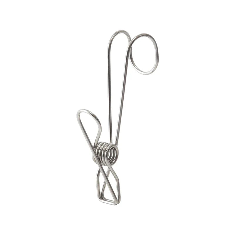 Pinces à Linge en Acier Inoxydable (10 Pièces)