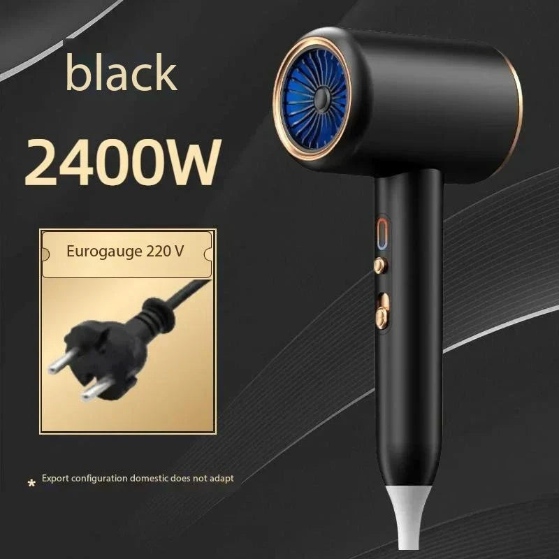 Sèche - Cheveux Ionique Professionnel 2400w