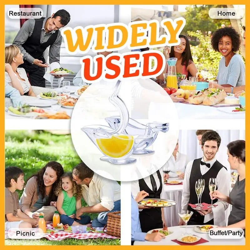 Presse - Citrons " Birdjuice " - Élégant, Simple, Pratique