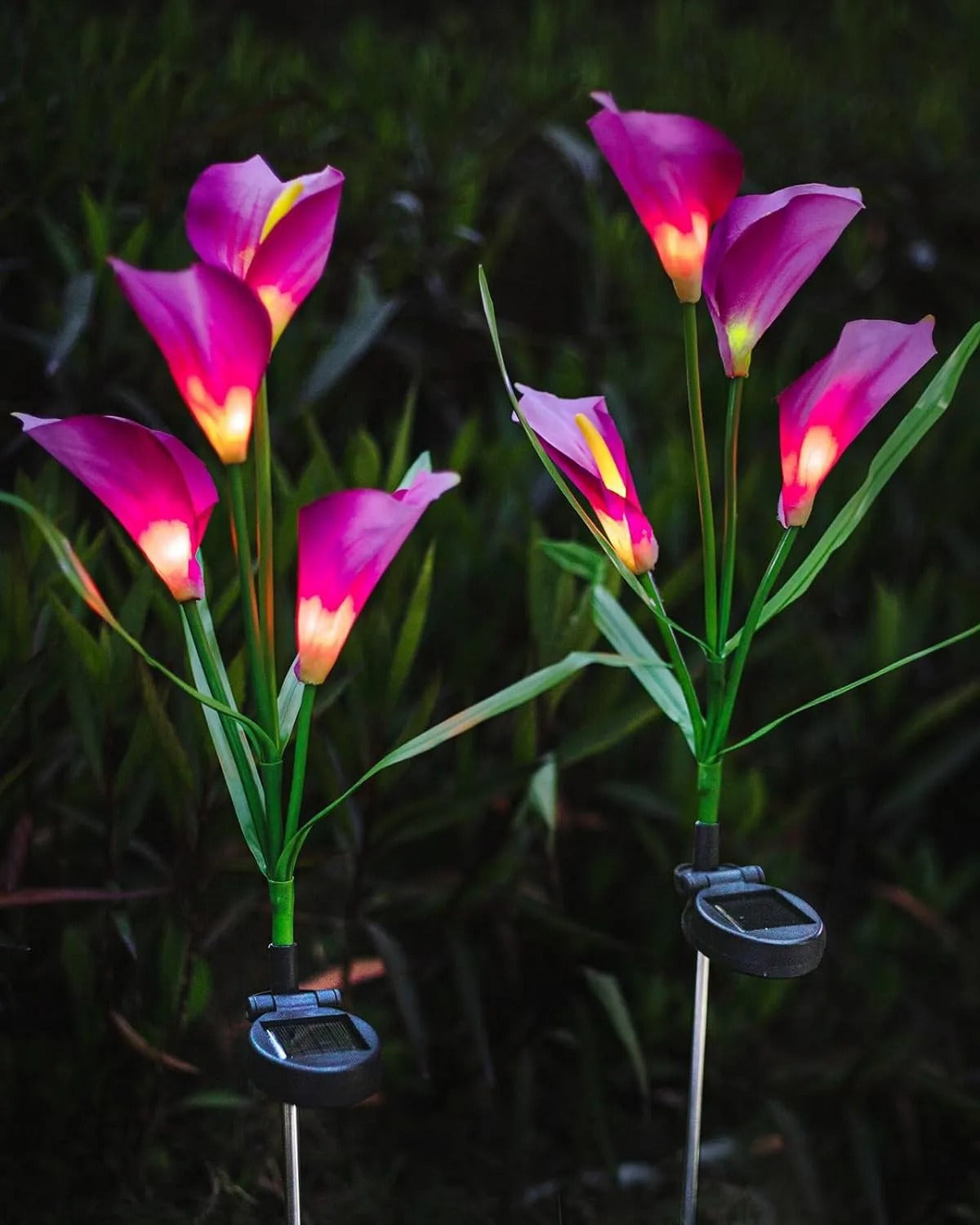 Lys Solaires - des Fleurs Lumineuses Romantiques pour Ton Jardin