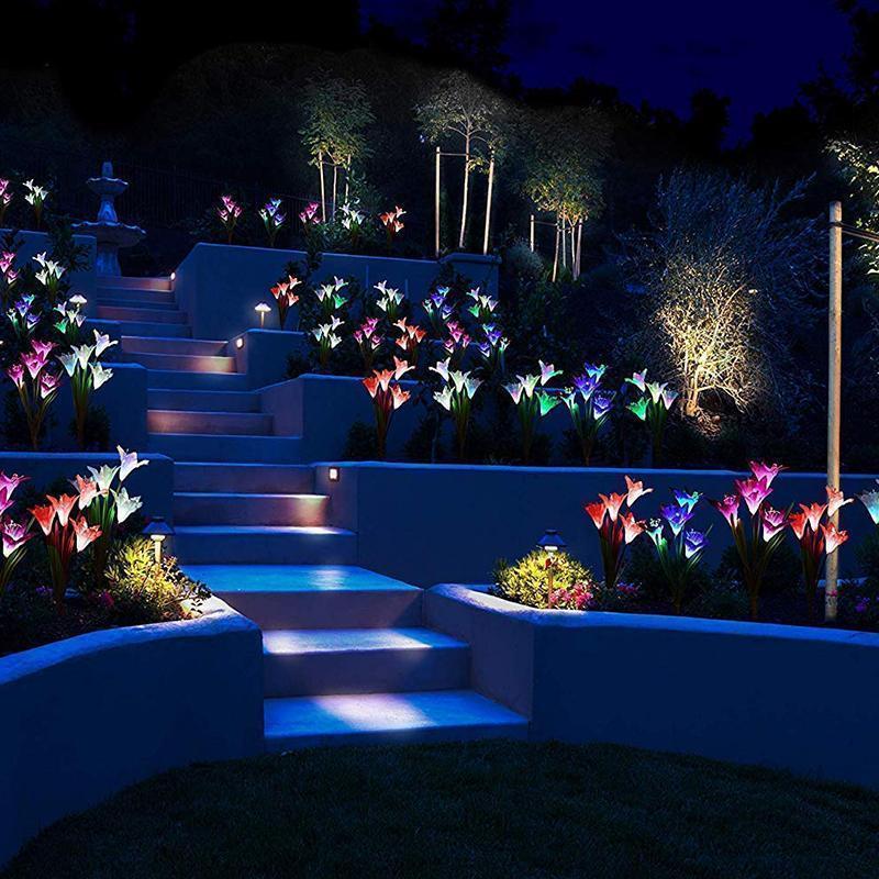 Lys Solaires - des Fleurs Lumineuses Romantiques pour Ton Jardin