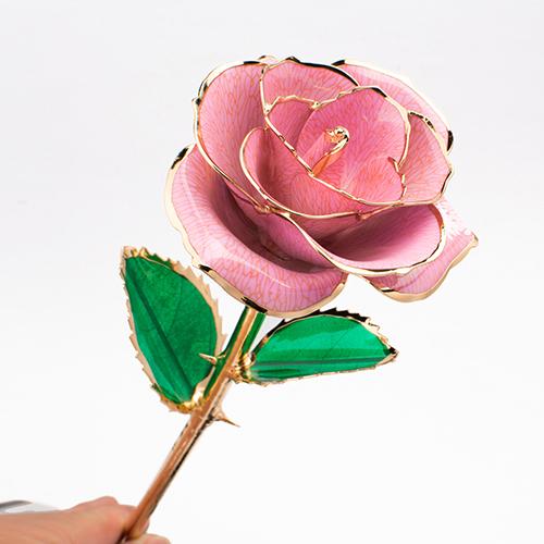Rose D' or Éternelle