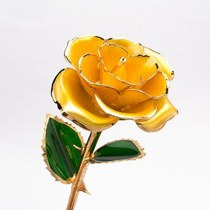 Rose D' or Éternelle