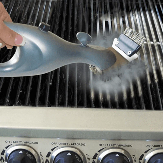 Nettoyeur Vapeur Brosse à Grillades Deluxe
