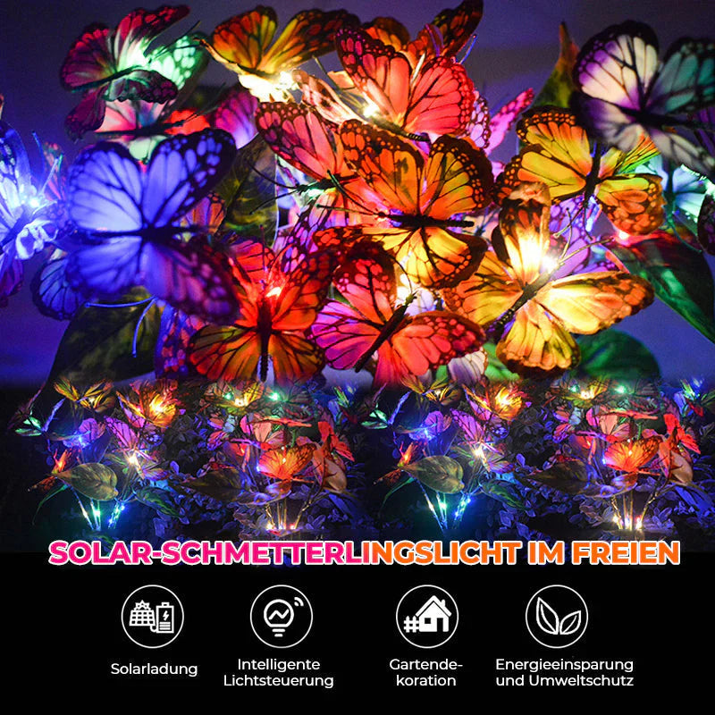 Les Lumières Solaires pour les Papillons dans le Jardin