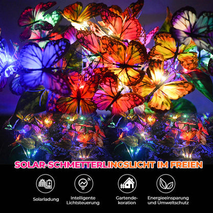 Les Lumières Solaires pour les Papillons dans le Jardin