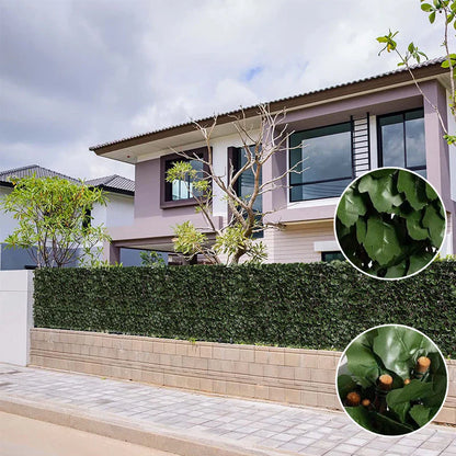 Clôture Pare-vue Flexible avec Optique de Plantes Grimpantes