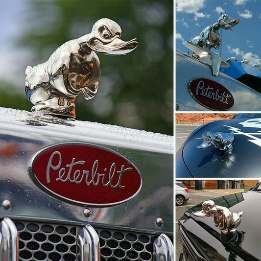 Canard en Caoutchouc Rigolo pour le Capot - Accessoires pour Voiture Pétillants