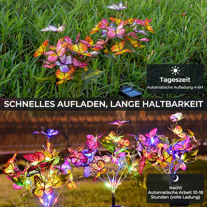 Les Lumières Solaires pour les Papillons dans le Jardin