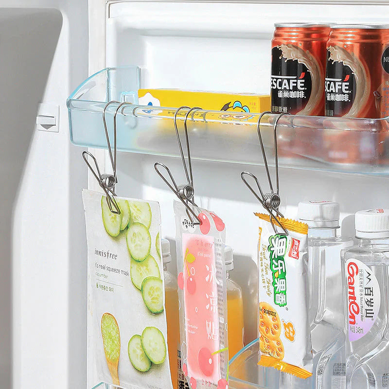 Pinces à Linge en Acier Inoxydable (10 Pièces)