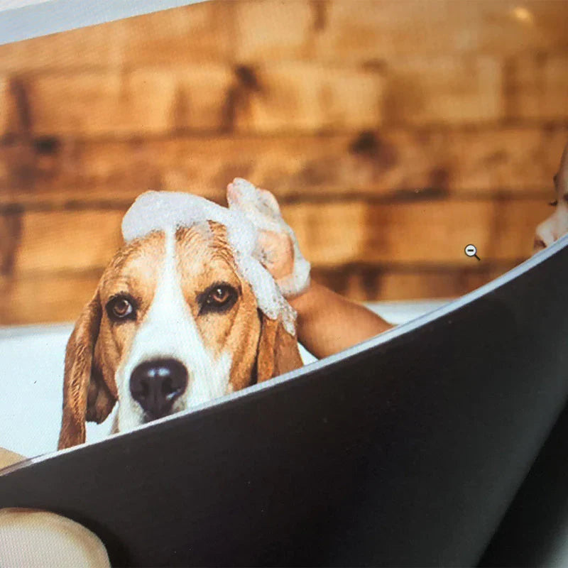 Cadre Photo Magnétique pour les Surfaces Métalliques
