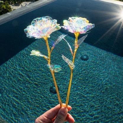 La Rose de la Galaxie Multicolore - un Signe Éternel D' Amour