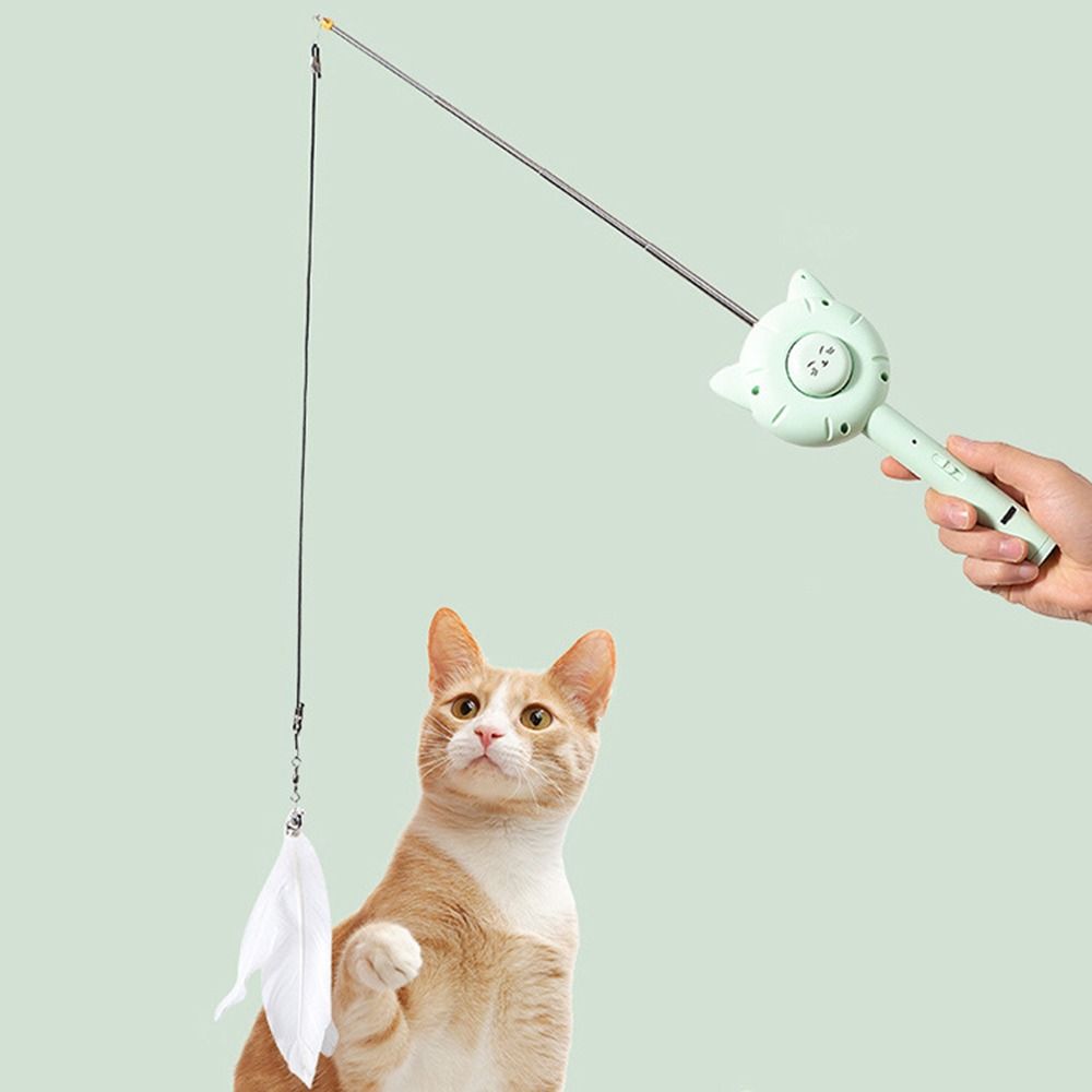 Chevron de Toilettage Rétractable - Soin Doux du Pelage et Jeu pour les Chats