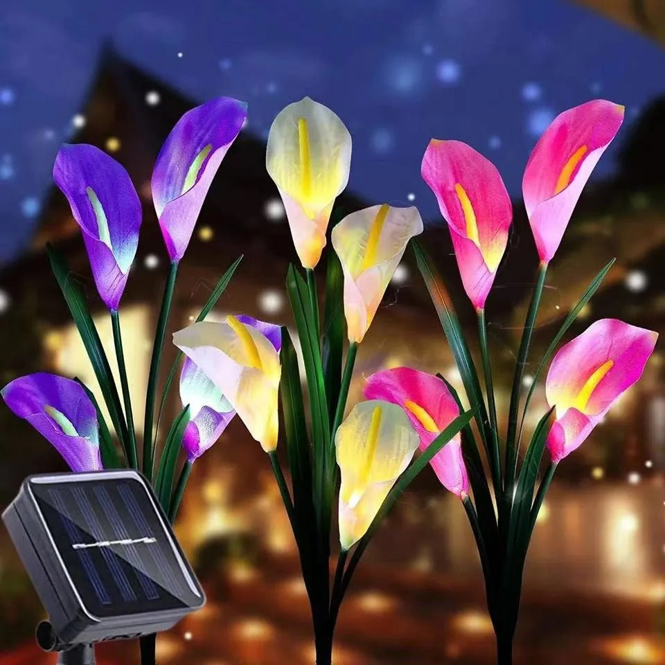 Lys Solaires - des Fleurs Lumineuses Romantiques pour Ton Jardin