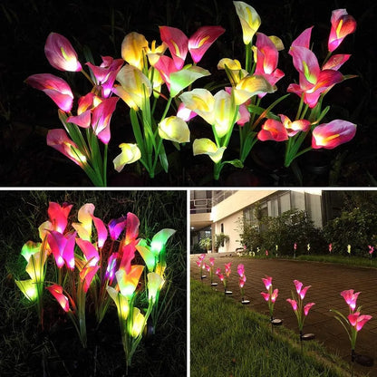 Lys Solaires - des Fleurs Lumineuses Romantiques pour Ton Jardin