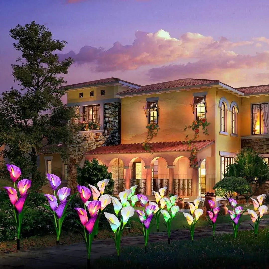 Lys Solaires - des Fleurs Lumineuses Romantiques pour Ton Jardin