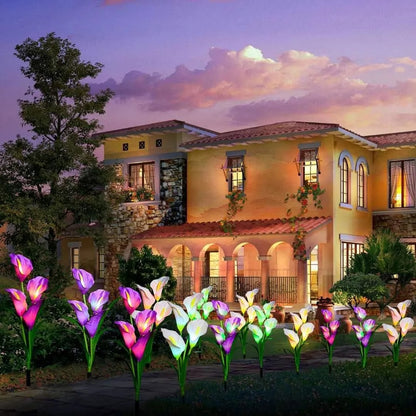 Lys Solaires - des Fleurs Lumineuses Romantiques pour Ton Jardin