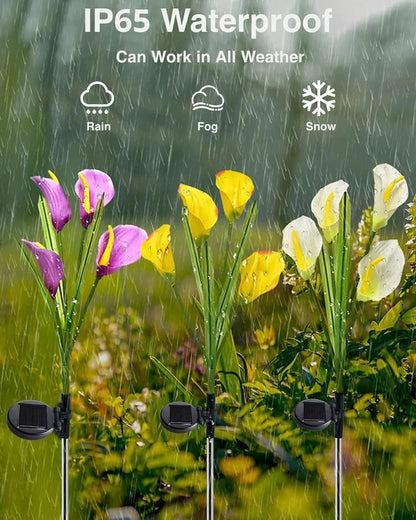 Lys Solaires - des Fleurs Lumineuses Romantiques pour Ton Jardin