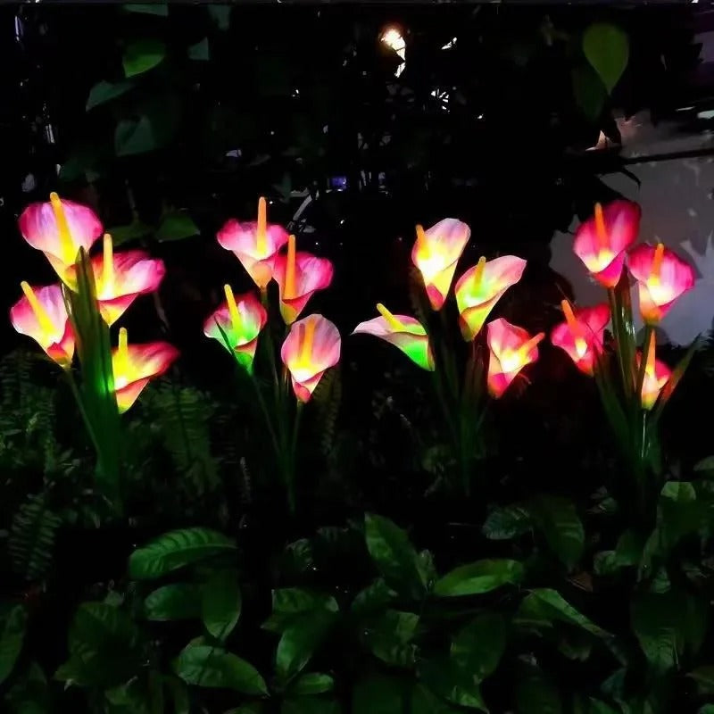 Lys Solaires - des Fleurs Lumineuses Romantiques pour Ton Jardin